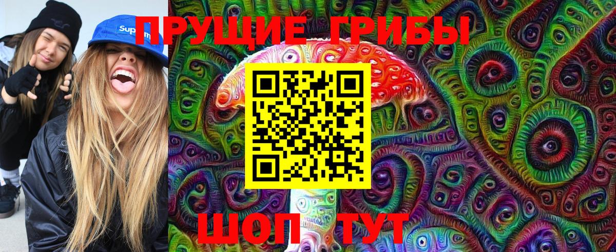 Урус-Мартан  хочу наркоту  Вход с VPN  Галлюциногенные грибы Cubensis 